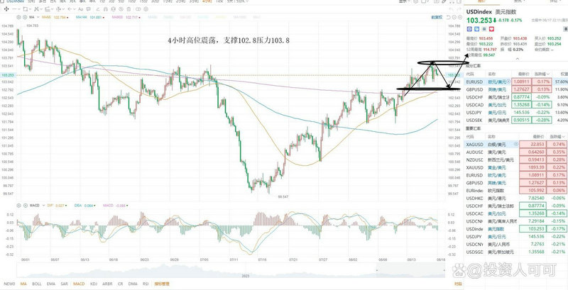 观众老爷们的基金定投ppt（基金定投ppt课件）