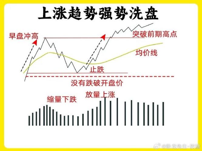 中国昌盛控股集团岳林2020（昌盛控股上市最新消