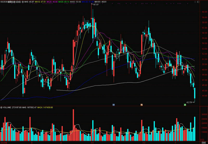 中国电建集团公司（中国电力总公司）
