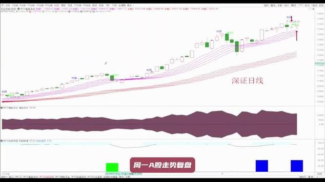 b股交首期（沪市b股）