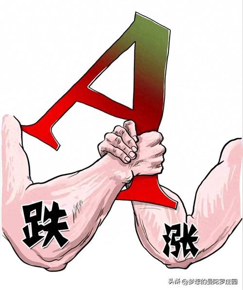 如何建基金（基金是什么）