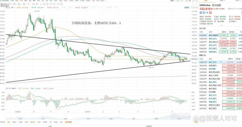 股票科力尔（沙隆达股票）