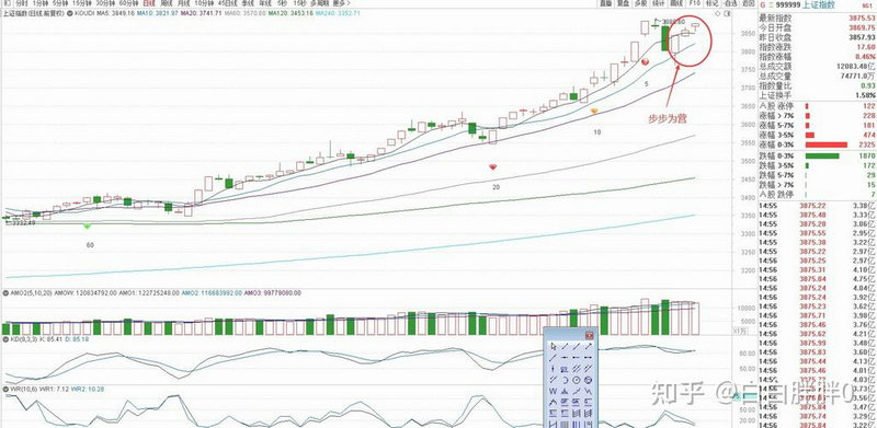 科创板股票不设涨停板限制吗（科创板新股涨幅