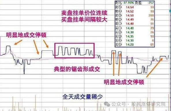 601995目标价（中金公司股票估值）