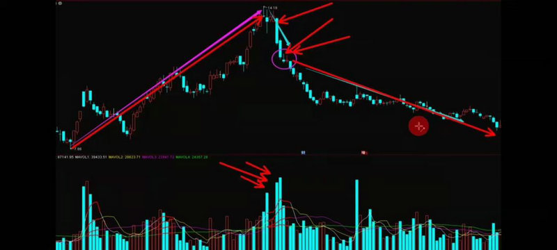 2019年汇添富基金重仓的股票（汇添富精选混合基
