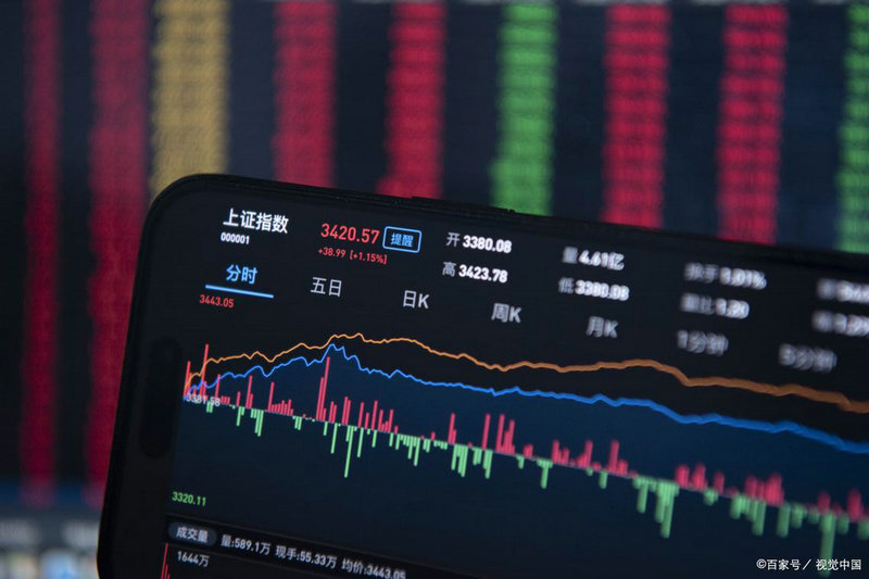 基金投资分险（列举一个基金投资的案例分析）