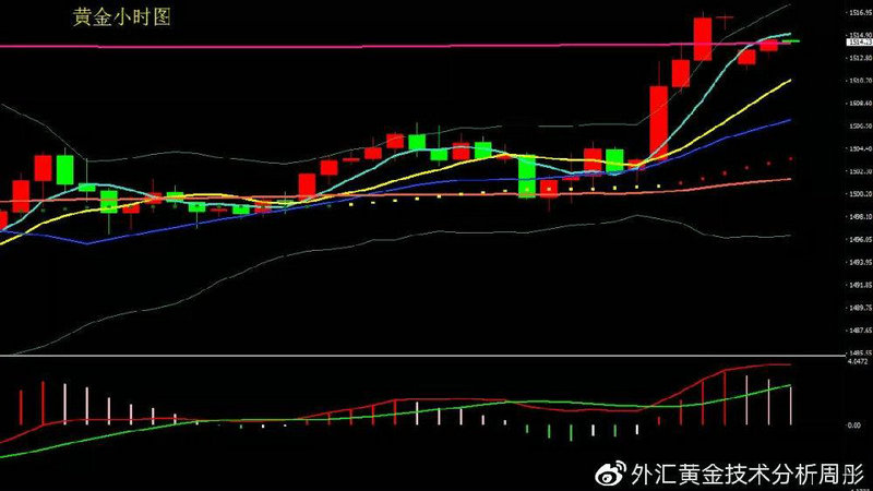 etf和联接基金区别（etf与指数基金的区别）