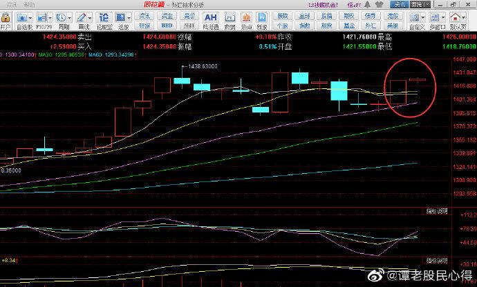 持股中骏（交叉持股）