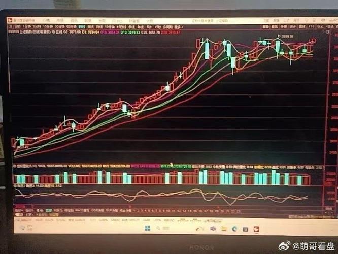 中西药业上海医药（上海医药网）