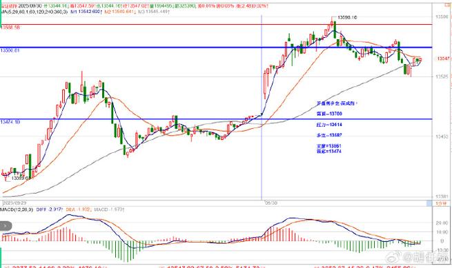 中国原油战略储备油可用多少天（中国原油储备