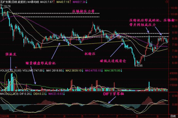 港股股票总数量（中信证券股票）