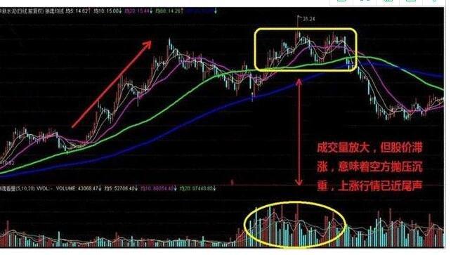 白银现货多少（金投网白银）