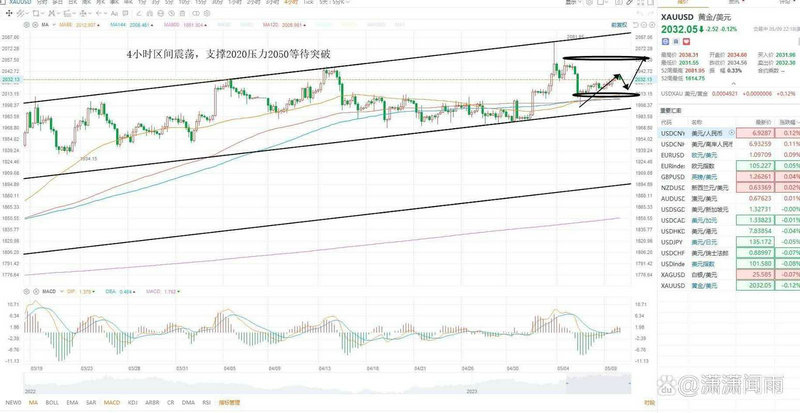 股权变更调信息（股权变更信息怎么填）