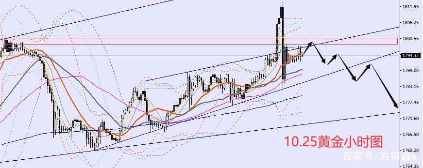 寿仙上品就是寿仙谷吗（寿仙谷主要产品）