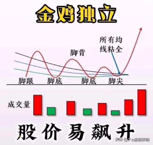 1000块钱买什么基金好（买基金1000块钱份额只有