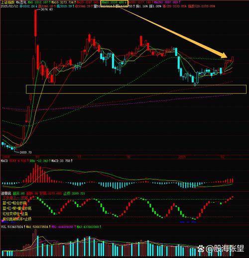 国金证券投行人员名单（国金证券管理层名单）