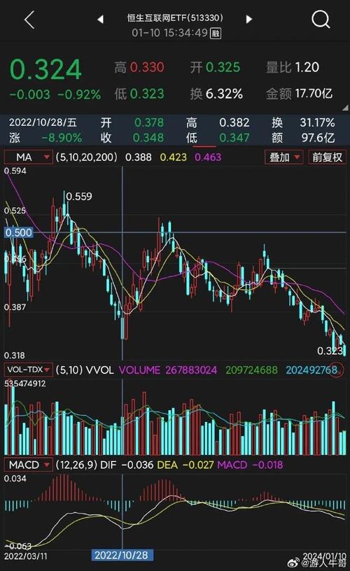 涨停后出现并排双阳线（通达信肩挑双阳指标公