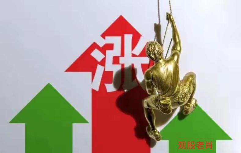 交易所债券投资门槛（交易所债券手续费）