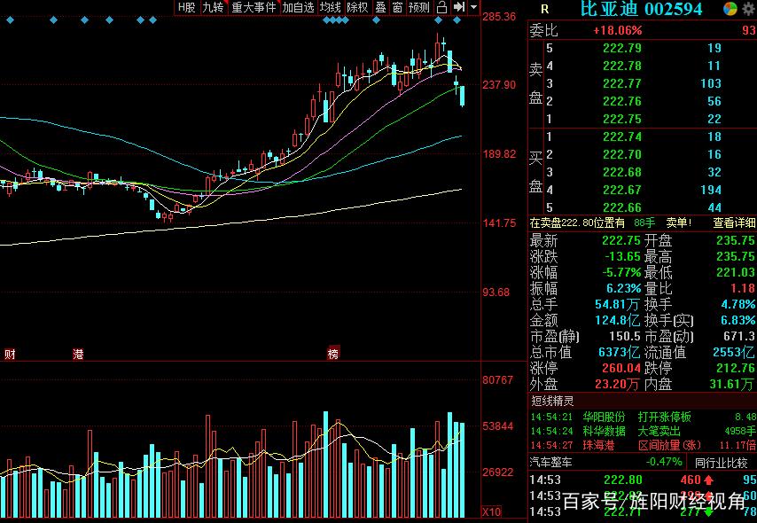 打新基金的步骤（持有场内基金可以打新吗）