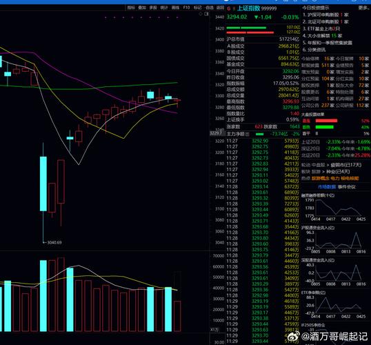 庄股暴跌（dde散户数量什么意思）