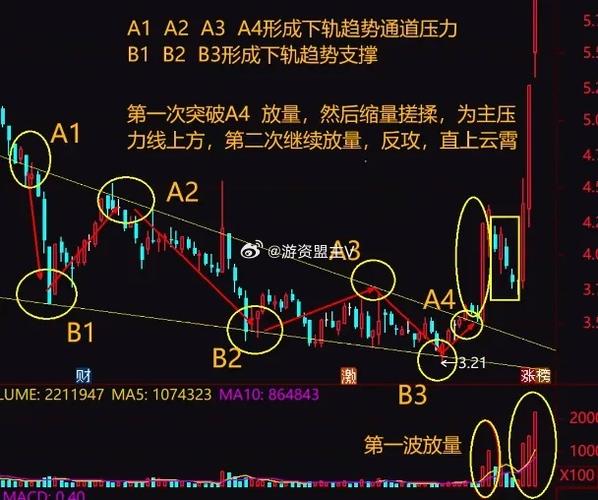 贵州茅台怎么查价格（茅台酒行情价在哪里查询