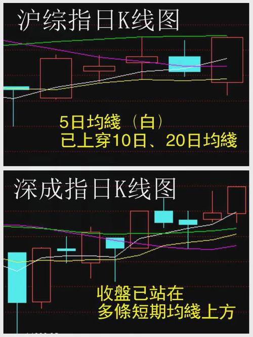 美联储议息黄金怎么走（美联储是私人的吗）