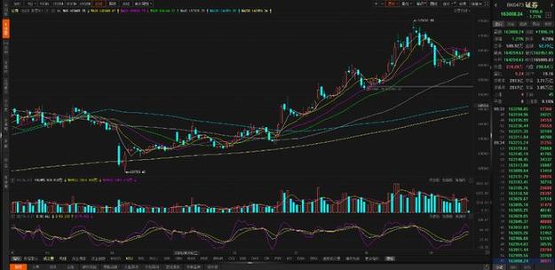 开公司设私募投资自己公司（私募公司有哪些）