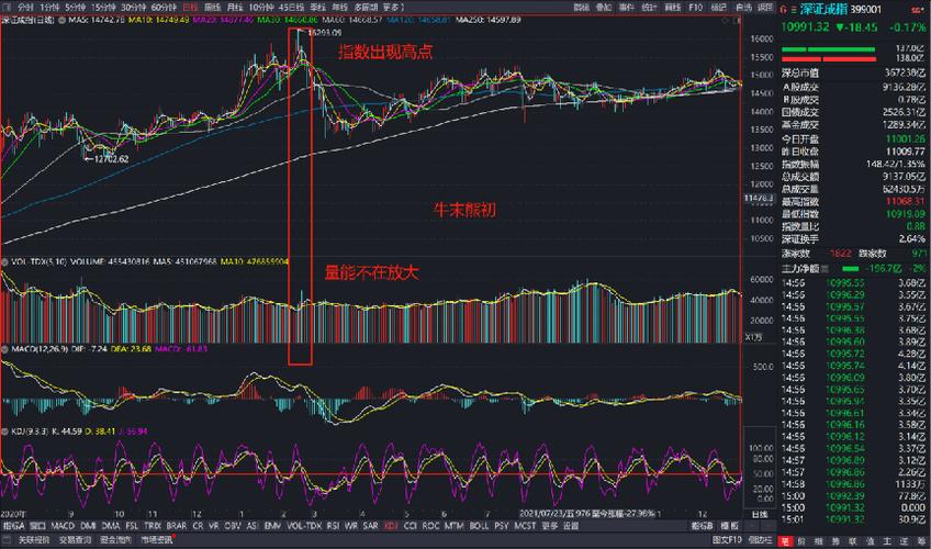 300878维康药业发行价格（300878维康药业估值）