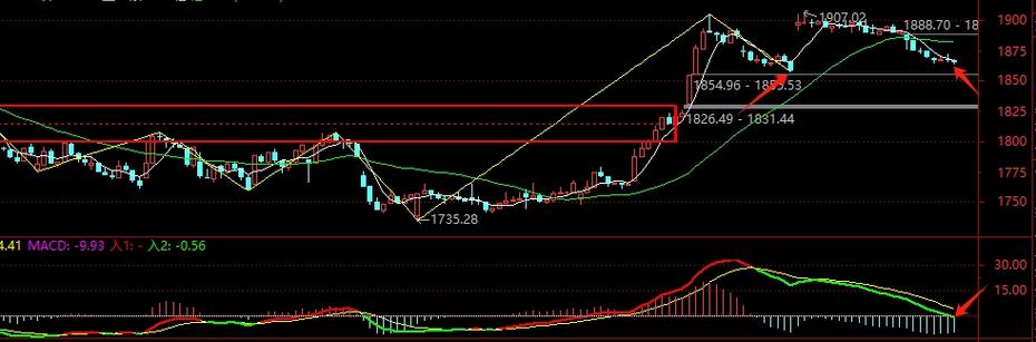 000063基金净值查询今天最（基金净值查询090003）