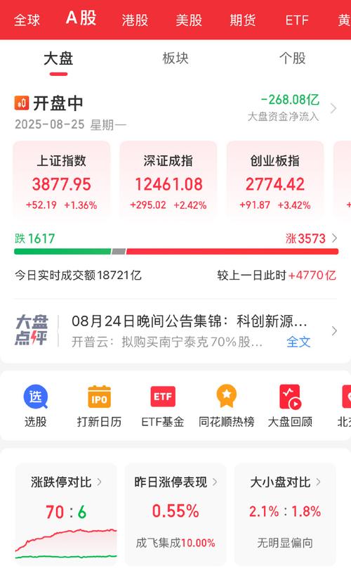 深圳本地的房地产龙头股（深圳龙头股票有哪些