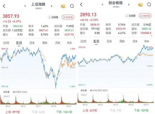 银行股哪个分红多（买银行股吃分红划算吗）