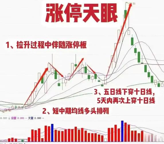 债务证券（大通证券）