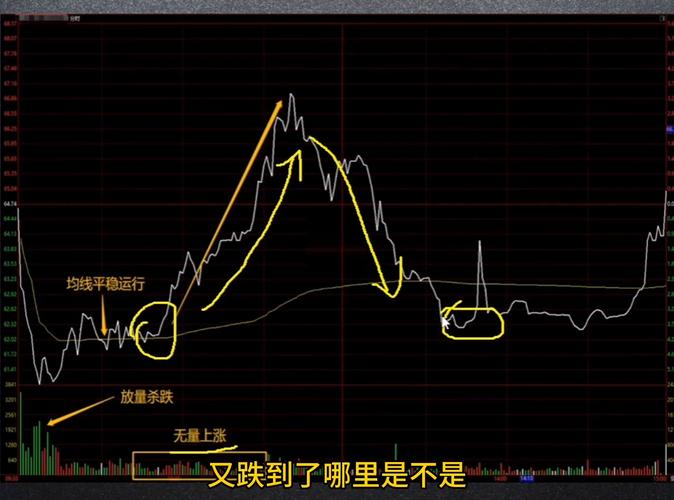 华兰医药股价（阿里巴巴股价）