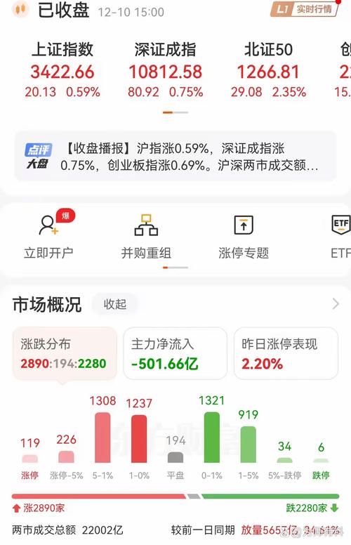 002971中签（新股中签结果几点公布）