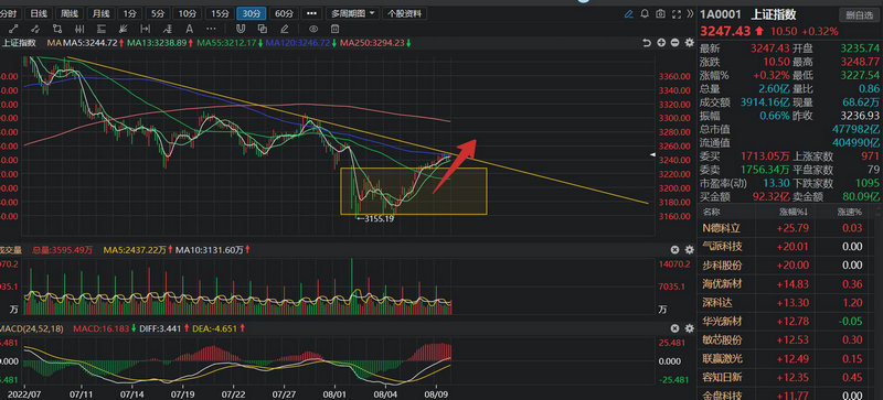 电解铝的龙头股（铝概念龙头股）
