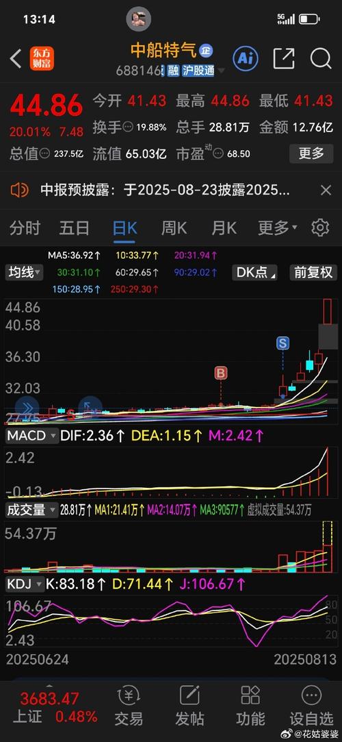 中国第一个发行股票的公司（中国股票的发展历