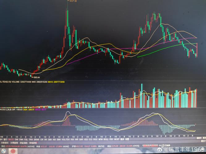 今年券商怎么了（比亚迪股票）