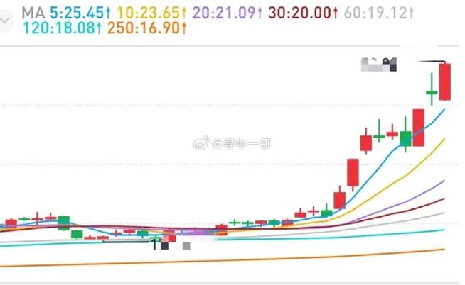 优先股权持有者可以享有的权利有（要股份还是