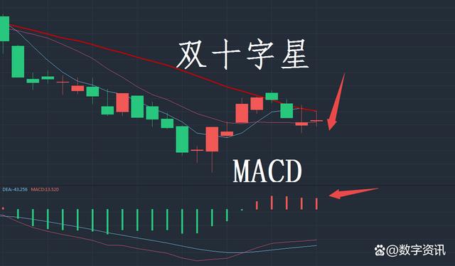 科创板有指数型基金吗（什么叫做指数型基金）