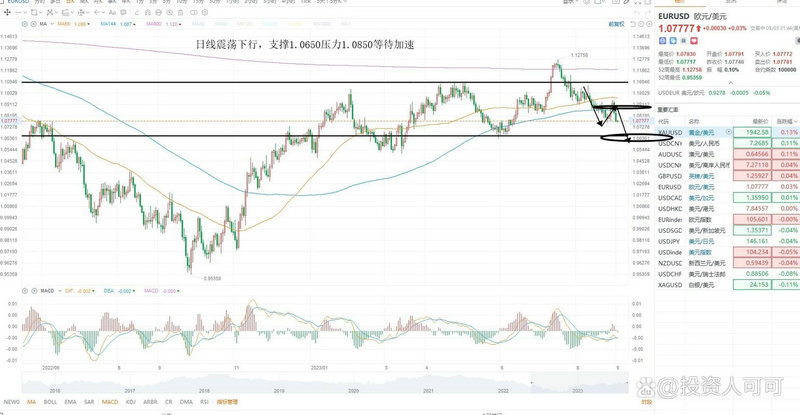 000971诺安新经济基金净值（000021基金今天净值）