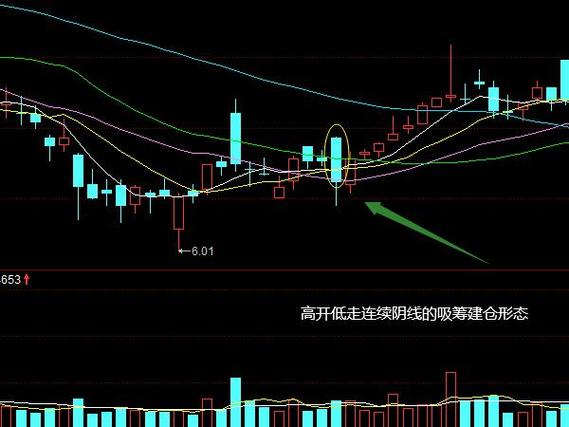 定投基金一般持有几年（基金有时间限制吗）