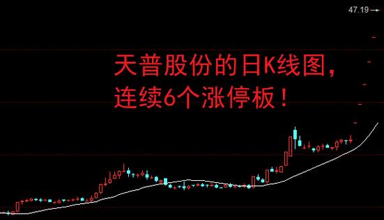 认股权证支付的特征（认股权证稀释每股收益）