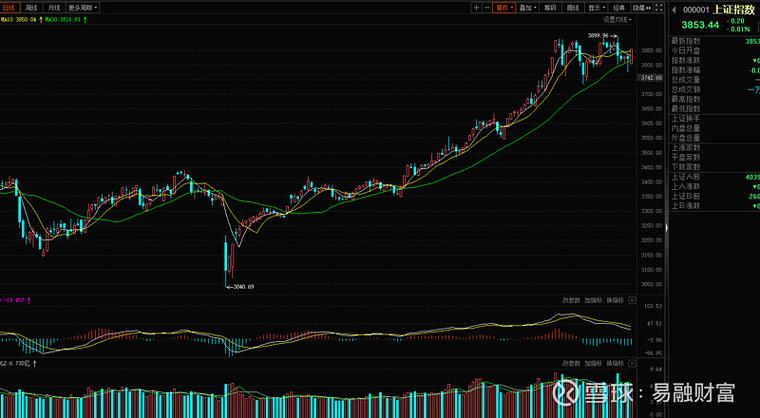 越南股市有无做空机制（国内怎么做空股市）