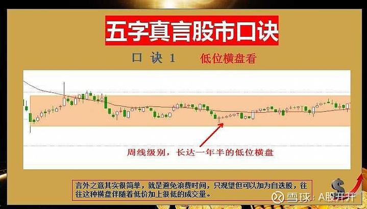 股利和每股利的成果（股利股息）