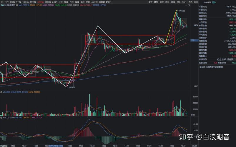 只有网上发行的股票（康龙化成股票）