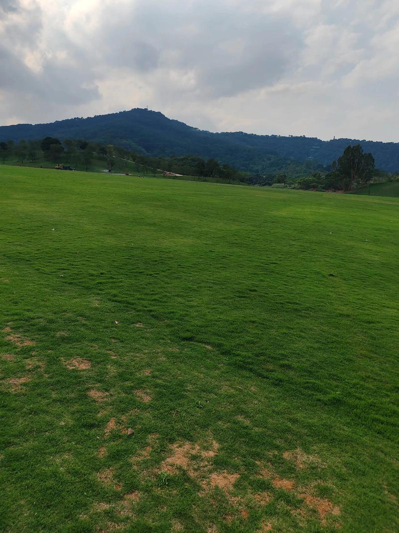 邱国鹭管理的私募基金（高毅私募基金公司邱国