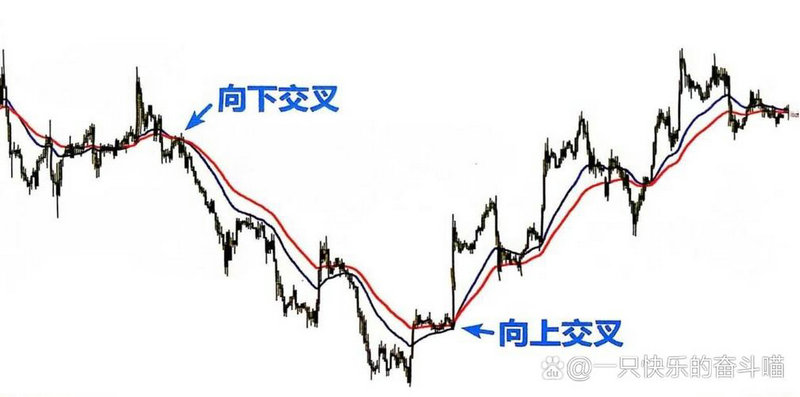 中证500etf有分红吗（中证500指数基金分红吗）
