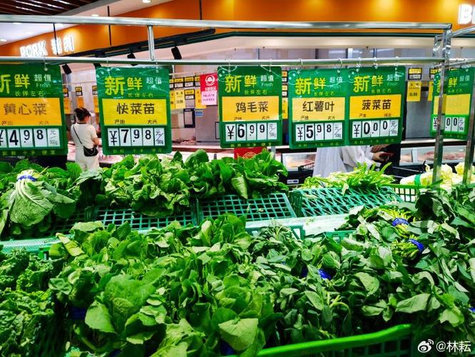 股市全部股票（怎么能看到全部的股票代码）