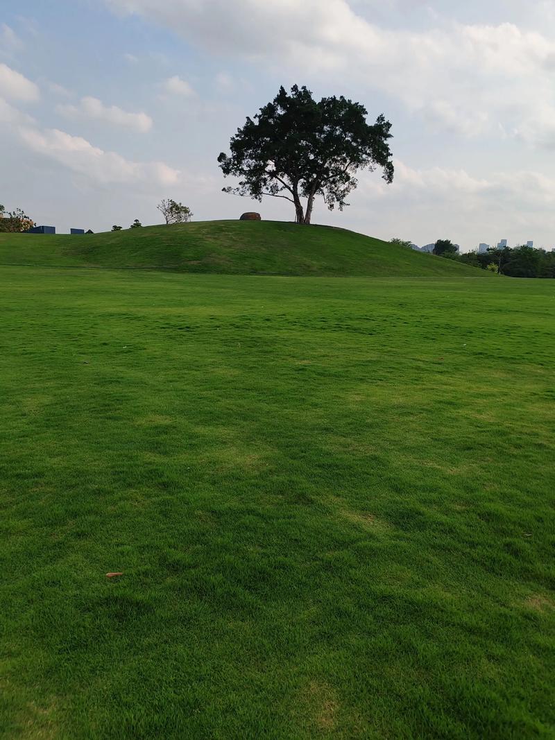 工商银行股票价格（买工行股票11年了）