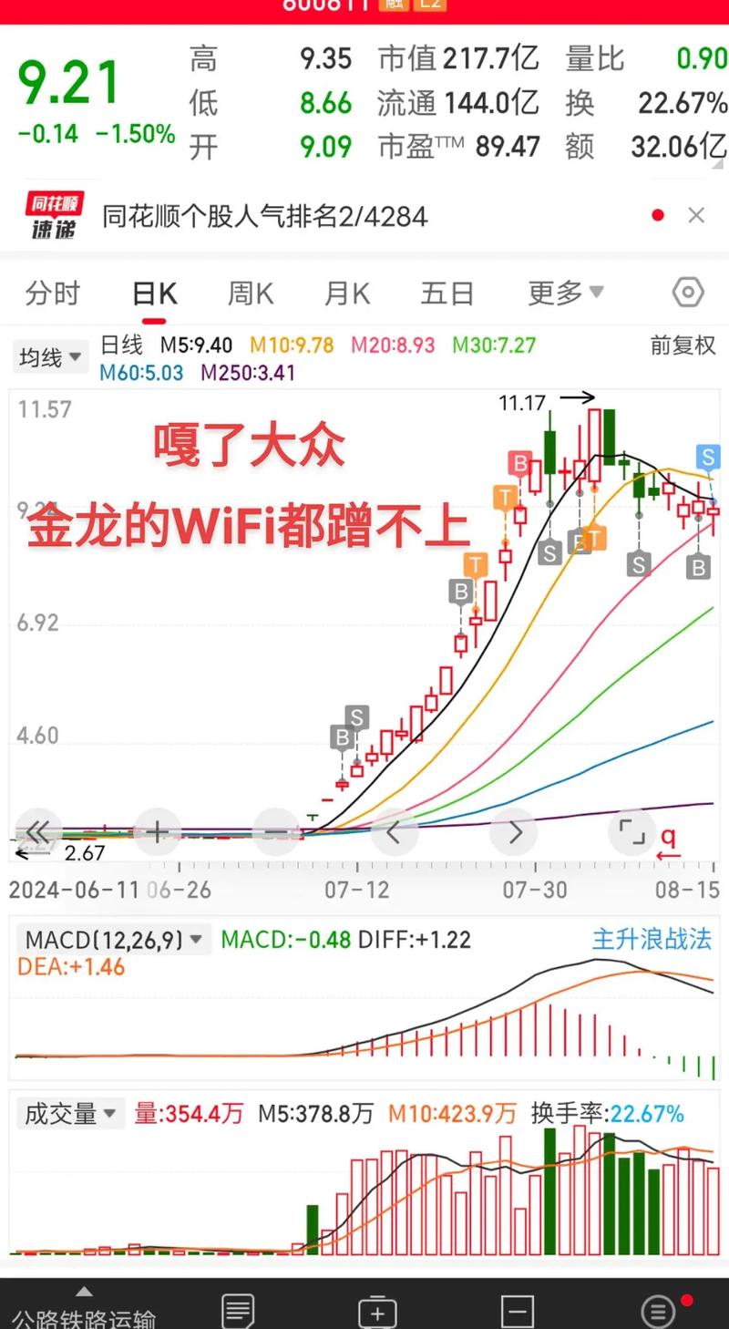 集团内资金调拨管理办法（内部资金调拨的法律